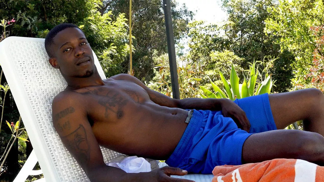 Introducing: Stallion